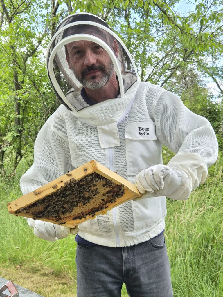 20260609_163337-768x1024 Bienenstand